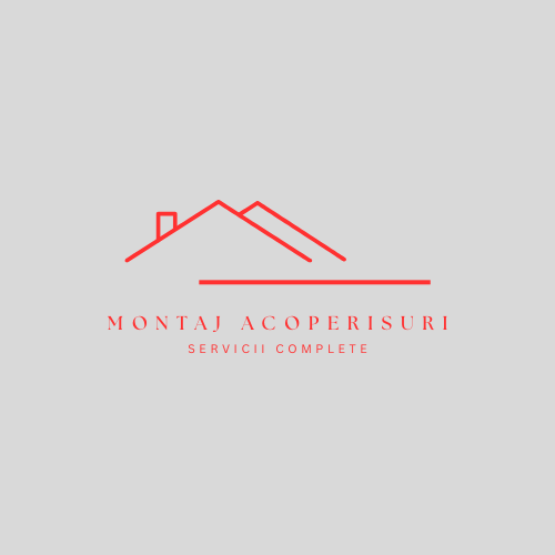 Dachservice24Plus Logo